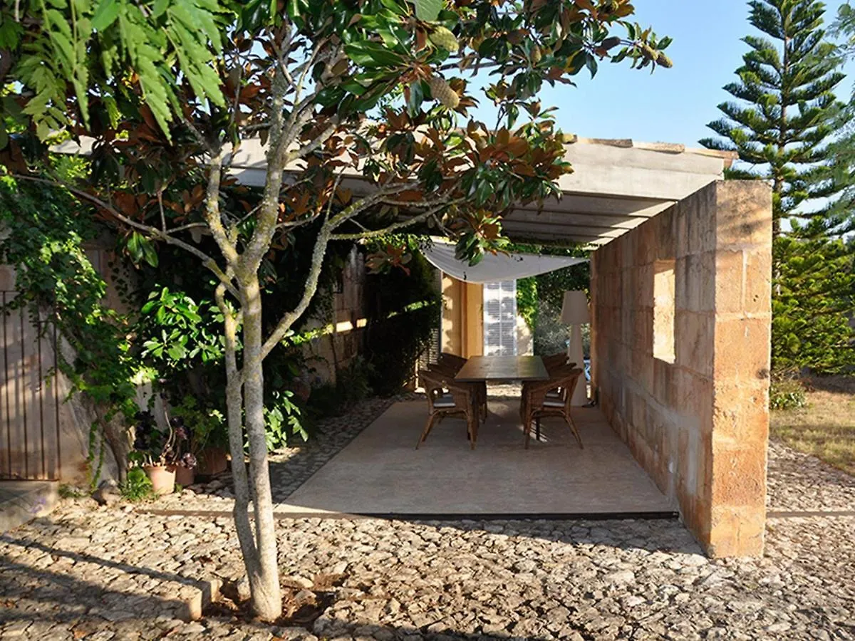 Finca Eucaliptus Villa Arta