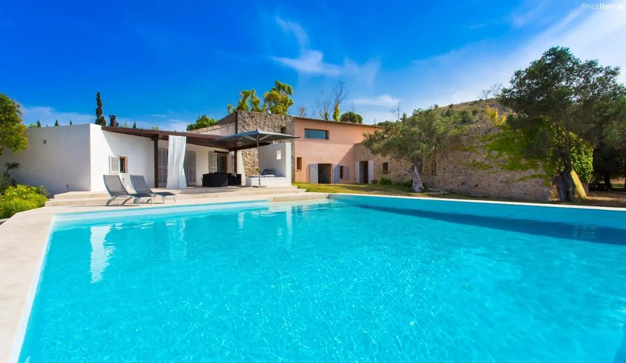Finca Eucaliptus Villa Arta