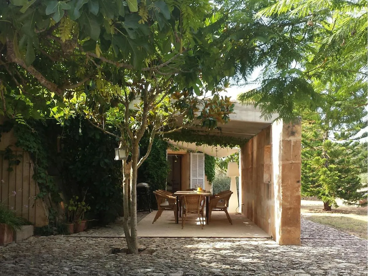 Finca Eucaliptus Villa Arta 0*,