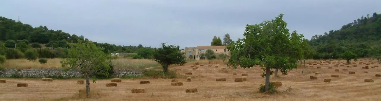 Finca Eucaliptus Villa Arta